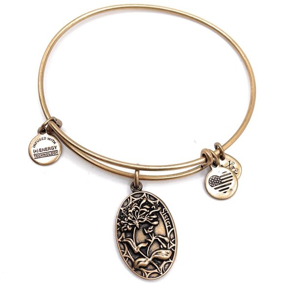 Alex and Ani Sister Bracelet (G20) 1842 - Picture 1 of 2